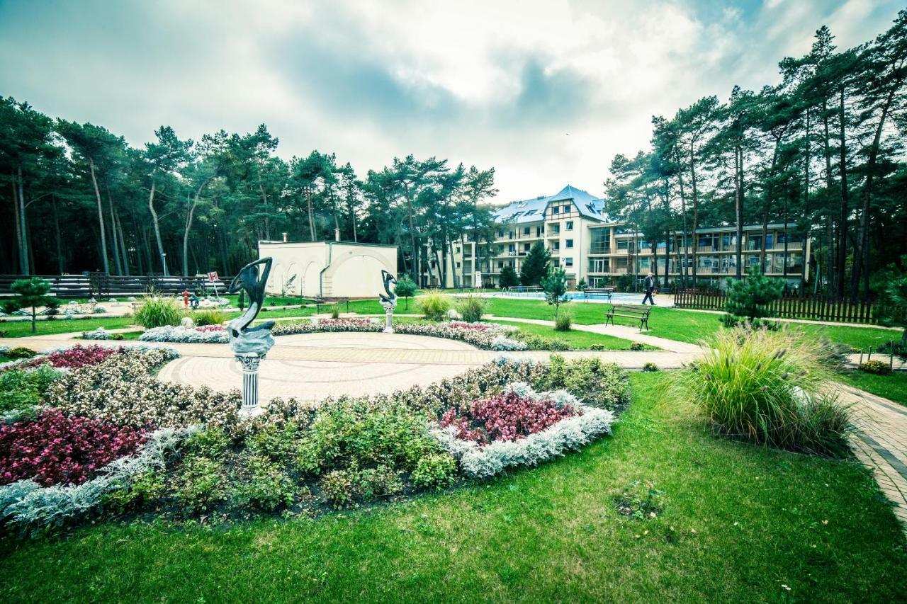 Dmuchawiec Лукенцин Экстерьер фото